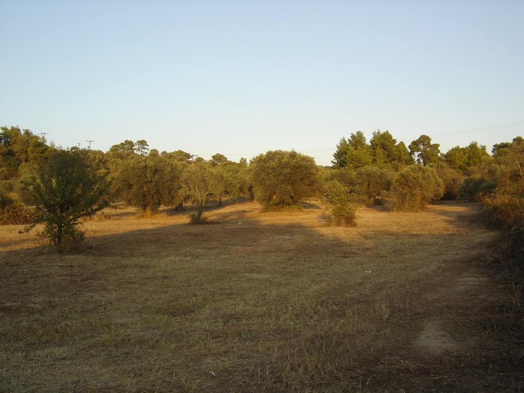 dimitrakia_vourvourou102 Medium.jpg